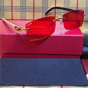 Cartier Unisex Buffalo Horn Rimless Sunglasses